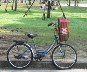 Bangkok - Lumphini Park - Image © Miguel Major